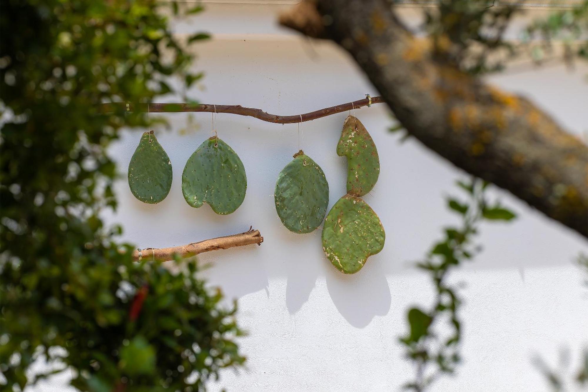 Hotel Masseria Fontanelle Ugento Zewnętrze zdjęcie